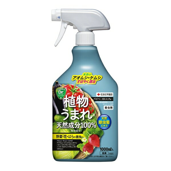 住友化学園芸 パイベニカVスプレー1000ml 園芸薬品 スプレー 害虫対策 希釈不要 [4975292604204]