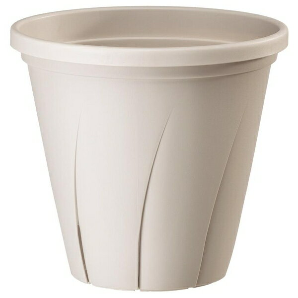 ¥ץ饹å Ϥȭ 6ۥ磻  ǥ˥ ȭ ץ󥿡