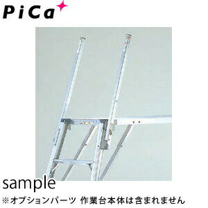 �ԥ�(Pica)�����ץ���󡡼�ݤ�����DWJ-TE1��2�ܥ��å�