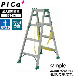 �ԥ�(Pica)�������ѤϤ������ѵ�Ω��JOB-BGA90E��[�������¾���]