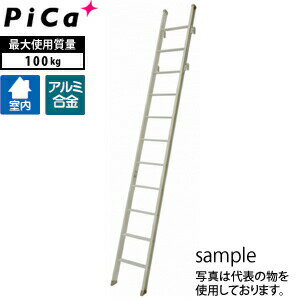 ԥ(Pica)եȤϤϤLRS-31[緿ʪ]