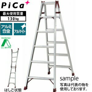 ԥ(Pica)ϤѵΩPRO-210B[緿ʪ]