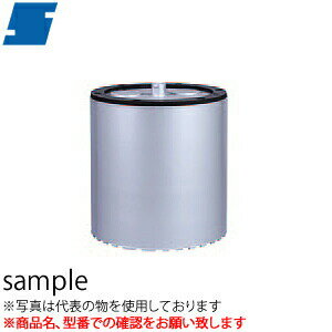 シブヤ(SHIBUYA)　ダイヤモンドビット　ラージビット　DIタイプ(厚刃)　500mm　Aロット　有効長：500mm