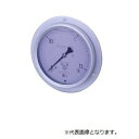 第一計器製作所 GRKグリセリン入圧力計 G-DUR3/8-100:16MPA(4)