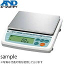 エー アンド ディ(A D) EW-600i-K パーソナル電子天びん(はかり) 検定付 ひょう量：300g/600g 本体のみ 校正なし