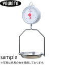 八幡計器 C-5-3kg ばね式吊り皿はかり ひょう量:3kg