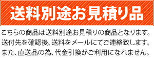 アネスト岩田 SLP-15EFM5 オイルフリースクロールコンプレッサ 三相200V 170L/min [個人宅配送不可][送料別途お見積り] 2