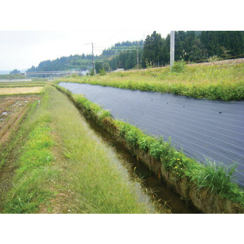 ■Dio 抗菌剤入り防草シート黒 100cm×100m 413398(1269726)[送料別途お見積り][法人...