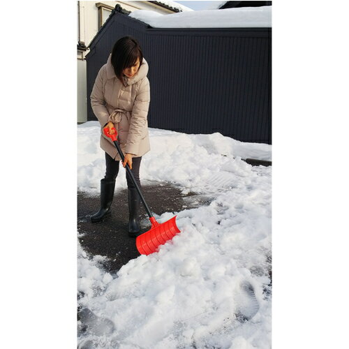 ������ѥ� �㲡����(F��) 028775(1383731)��12[�������Ӥ����Ѥ�][ˡ�͸���][�ǳ����]