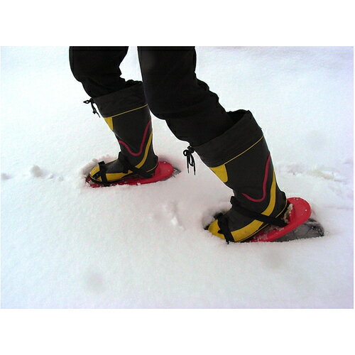 ������ѥ� �ץ顦���󤸤� (��󥿥å���) 022070(1383743)��20[�������Ӥ����Ѥ�][ˡ�͸���][�ǳ����]