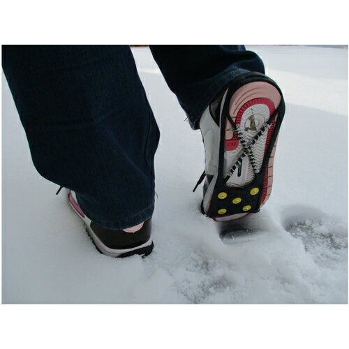 ������ѥ� ���١����� M(��Ǽ����) 022483(1383757)��60[�������Ӥ����Ѥ�][ˡ�͸���][�ǳ����]