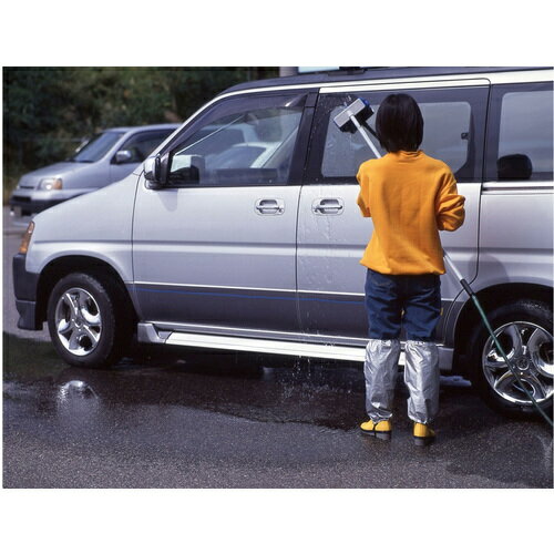 ������ѥ� ������ɿ她�ѥå�(����45cm) 008647(1383762)��120[�������Ӥ����Ѥ�][ˡ�͸���][�ǳ����]