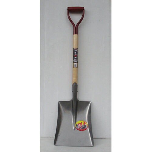 ������ѥ� Ŵ���� ���� (�ѷ�) 007954(1383780)��12[�������Ӥ����Ѥ�][ˡ�͸���][�ǳ����]