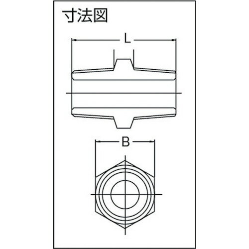 ���ե��ȥ� 6�ѥ˥åץ� 15A ú�ǹ� 6NPT15A(2289539)