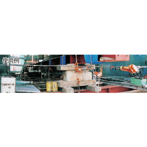 ■TRUSCO レバーホイスト1.6ton TLH160(2868695)