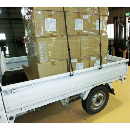 ■TRUSCO 台付ポリプロピレンロープ 線径12mmX長さ3m TPP123(3631702)
