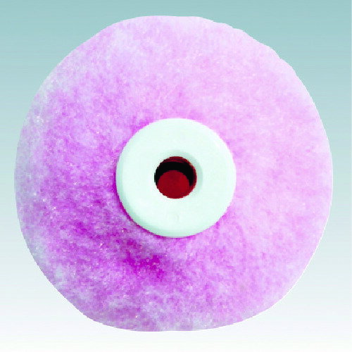 ������ �ե롼�ĥ����顼 �ԡ��� ������ �ߥɥ� 14�ߥ� 7M��PH14 7����� 1520201407(4173767)