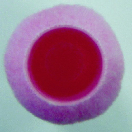 ■大塚 フルーツローラー ピーチ 外装用 レギュラー20ミリ 9PH20 9インチ 1521102009(4173848)