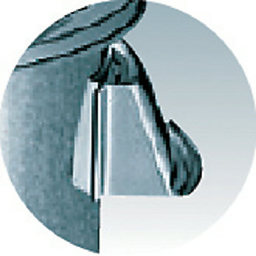 ��SUGICO ���ƥ�쥹���å���ݥåȳ��� 400x400 48L ���� SH4640(5006571)