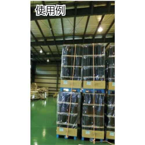 ��TRUSCO PV������ 3���� ����6mmXĹ��10m R610PV(5112877)