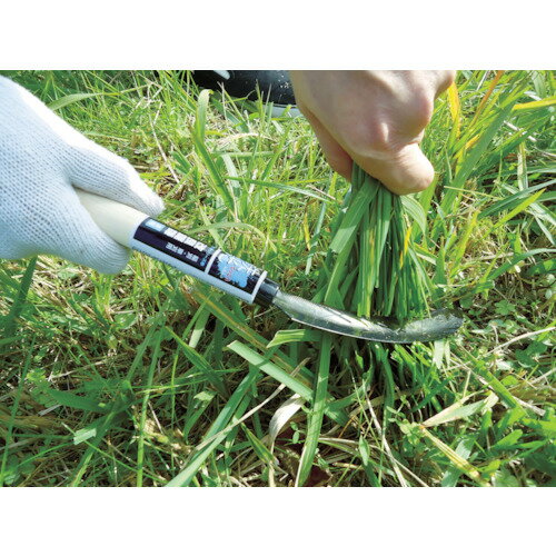 ����� Ŵ�� ���ɵ��� 302170(8184414)