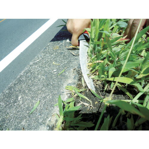 ����� ���ƥ�쥹�������ֳ� 700938(8184415)