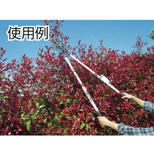 ■PRUMAN のびちぢみ伸縮自在刈込鋏 OM900(8188036)