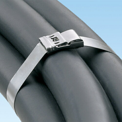 ■PANDUIT 長尺メタルバンドIシリーズ用ヘッド (100個入) MSBW75C6(8193727)