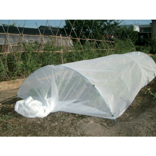 人気が高い dio 農園芸用 寒冷紗 遮光率51 1 35m 20m 黒 品番 Tr 最も優遇 Www Gestalt Cl 人気が高い dio 農園芸用 寒冷紗 遮光率51 1 35m 20m 黒 品番 Tr 最も優遇 Www Gestalt Cl
