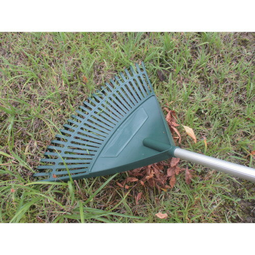 ������ѥ� ����߿��̤��ޤ� ������ 030037(8289560)