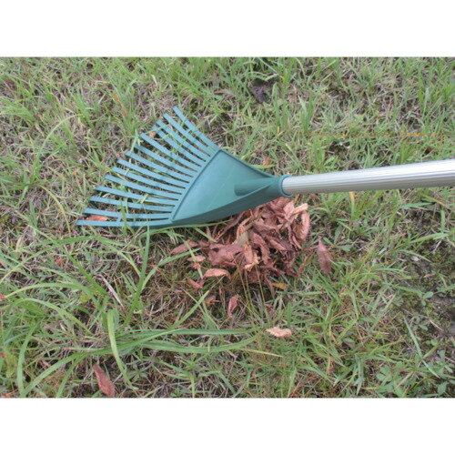 ������ѥ� ����߿��̤��ޤ� ������� 030051(8289562)