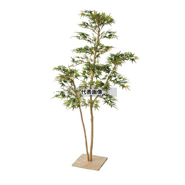 タカショー GD-111 21572000 もみじ板付青葉 1.3m 人工植物 インテリア 観葉 GD-111 [法人限定]