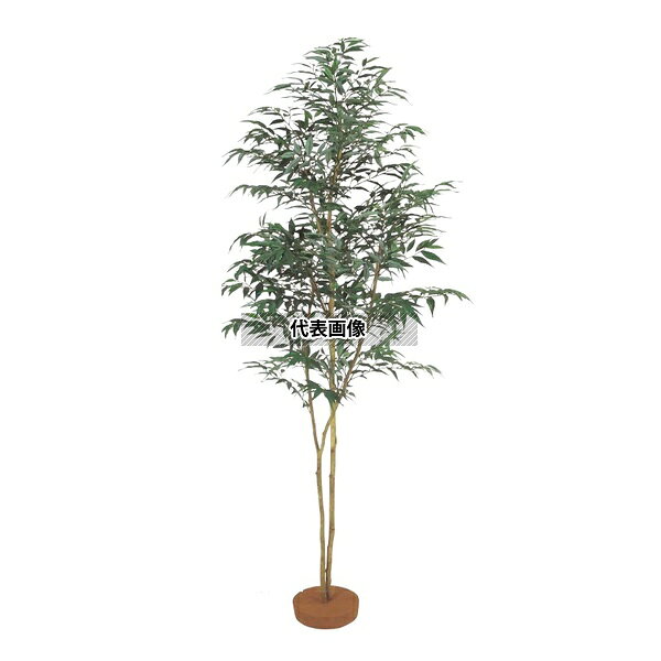 タカショー GD-134 21626000 シラカシ 鉢無 1.8m 人工植物 観葉 庭園 GD-134 [法人限定]