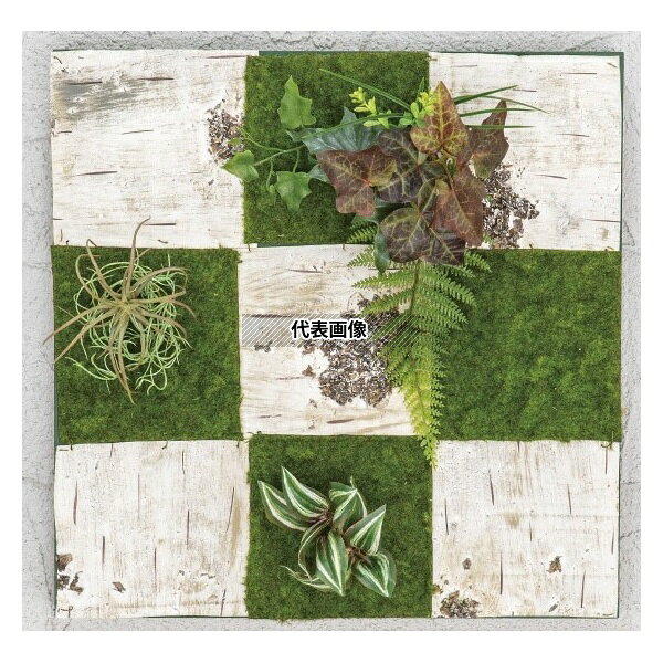 タカショー GD-201KF 33541100 壁面アレンジ K 白樺(フレーム付)45cm×45cm 室内用人工植物 フェイクグリーン GD-201KF [法人限定]