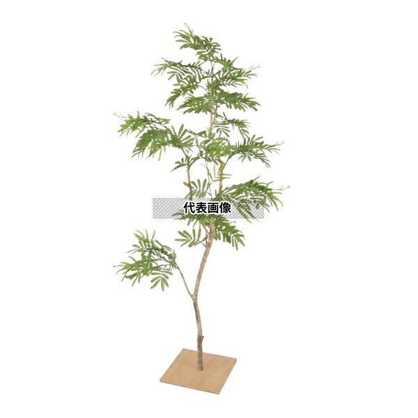 タカショー GD-209 21440200 エバーフレッシュ 板付 1.5m 室内用 人工植物 観葉 GD-209 [法人限定]