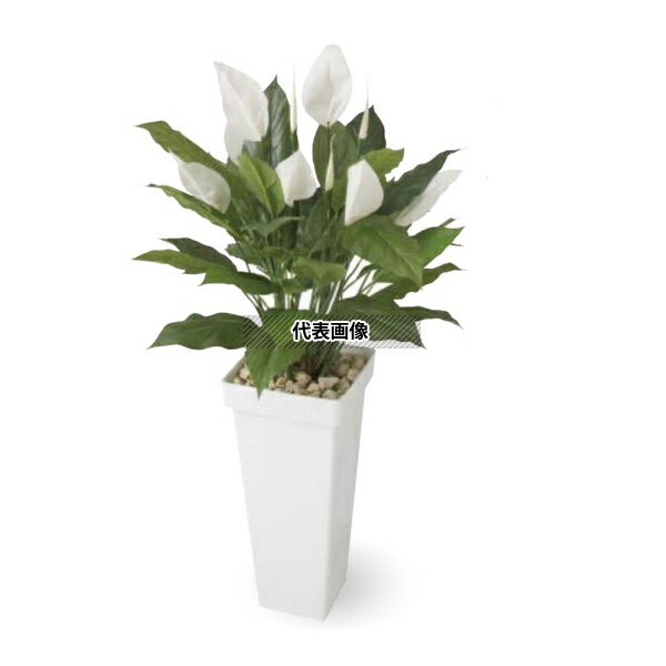 タカショー GD-215 33377600 スパティフィラム 0.9m 室内用 観葉植物 人工植物 リビング 間仕切り 目隠し GD-215 [法人限定]