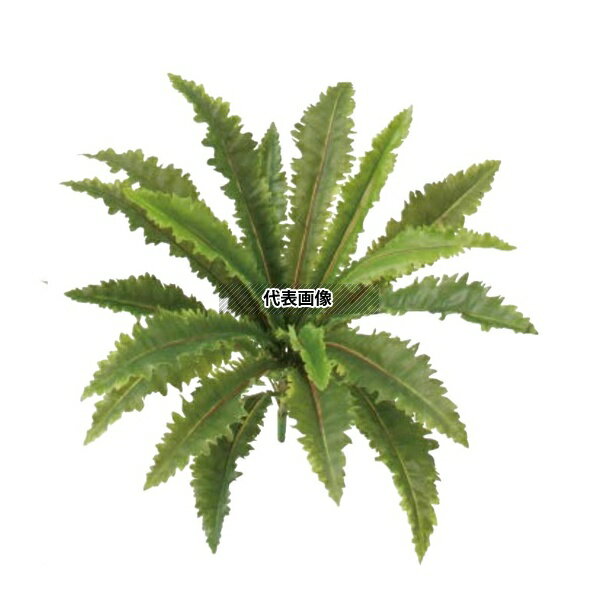 タカショー GN-101 33378300 タニワタリ W50cm 観葉植物 人工植物 坪庭や鉢植えの下草に GN-101 [法人限定]