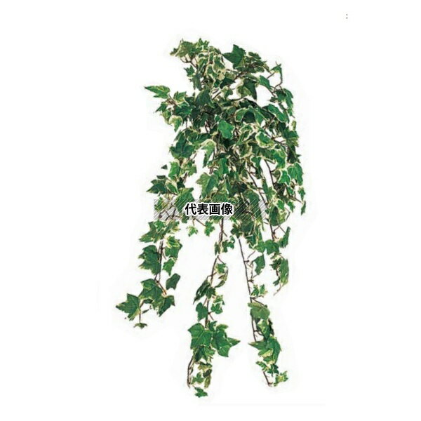 タカショー GN-24W 21675800 アイビーブッシュダブルカラー L50cm 室内用 観葉植物 人工植物 ハンギング GN-24W [法人限定]