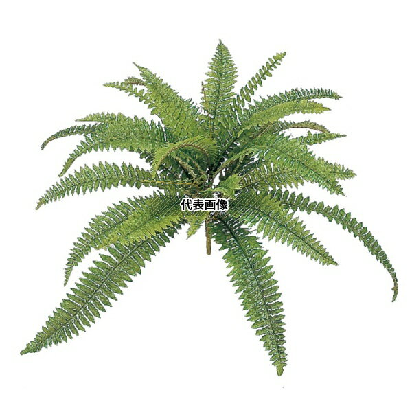 タカショー GN-45L 21685700 クイックボストン大 W60cm 観葉植物 人工植物 坪庭や鉢植えの下草に GN-45..