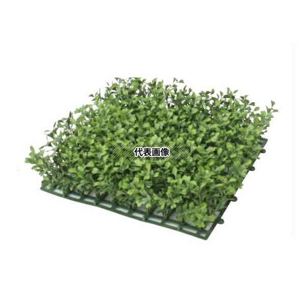 商品の特徴 タカショー GN-99 21766300 ボックスウッドマット 26cm×26cm 室内用人工植物 フェイクグリーン 人工苔 コケ 室内用人工植物です 製品仕様 ●底面サイズ(cm):26X26 JANコード：497514921...