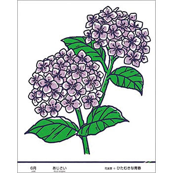 Rakuten - つくし工房 安全標識 KS-46 『6月・あじさい』 たのし～る(12カ月の花シリーズ) 500×400mm つくシート/裏スリット入