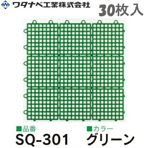 勵ʥٹ ƥॹ  SQ-301 ꡼ 30