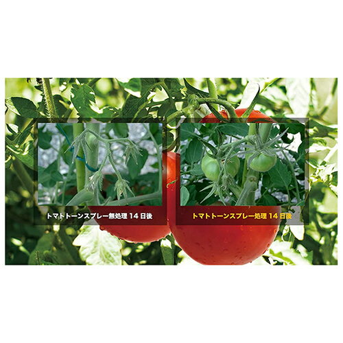 ◆住友化学園芸 トマトトーンスプレー 420ml 3