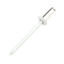 ◆藤原産業 SK11 カラーリベット 20入 CR5-4W(4)