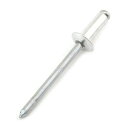 ◆藤原産業 SK11 ブラインドリベット 300入 SA5-4LB