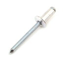 ◆藤原産業 SK11 ブラインドリベット 200入 SA6-4LB