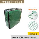 FIRST ゴルフネット PP養生グリーンネット 10M×10M 25mm目 多目的に使える練習用ネット【在庫有り】