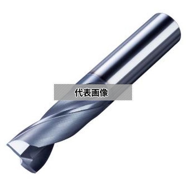 �������������ʳ��� �ϥ�������ɥߥ� VP-ZDS 10.2