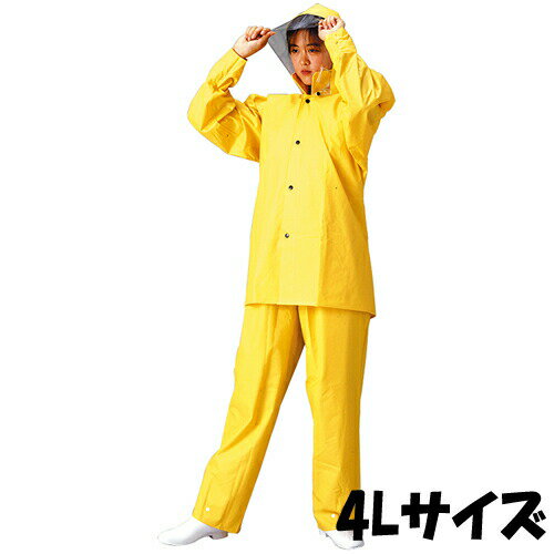 5040󥳡 4L üӥˡ 1