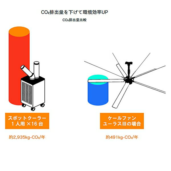 NBC���󥸥˥� ������ե��� �桼�饹3 5.5M W6AAA55 [ˡ�͸���][�������Ӥ����Ѥ�]